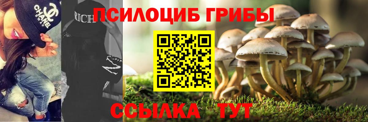 Псилоцибиновые грибы GOLDEN TEACHER Советский